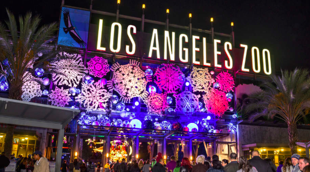 Festival of lights coupons