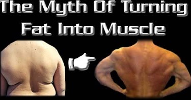 How To Turn Fat To Muscle 31