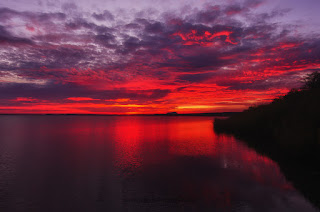 Naturfotografie Sonnenaufgang Steinhuder Meer