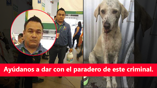 (SE BUSCA) Gerente De 'Soriana' De Una Patada Le Rompe La Quijada A Un Cachorro Indefenso. (SE BUSCA) Gerente De 'Soriana' De Una Patada Le Rompe La Quijada A Un Cachorro Indefenso.