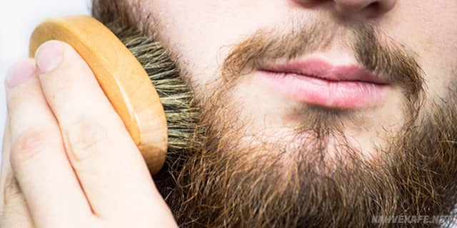 sakalın