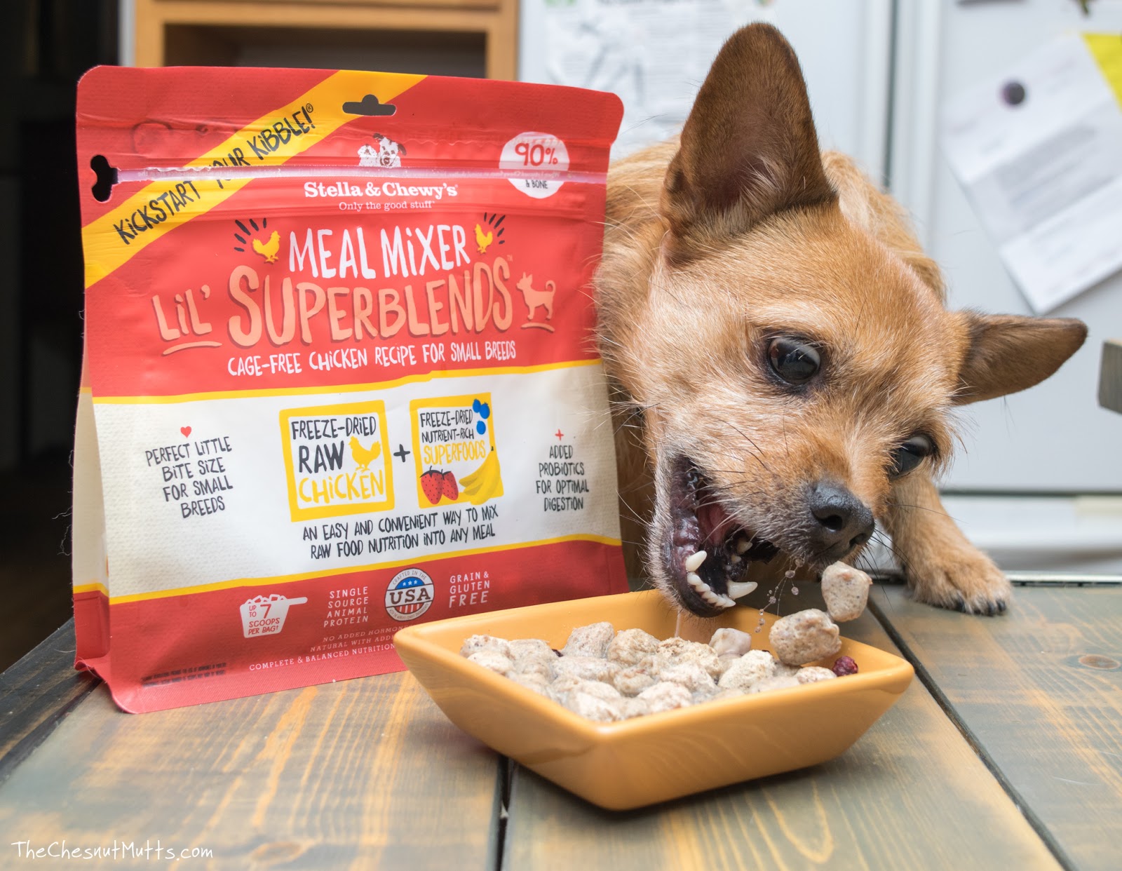 Mini Review Stella & Chewy's Meal Mixer Lil' Superblends Dog Food