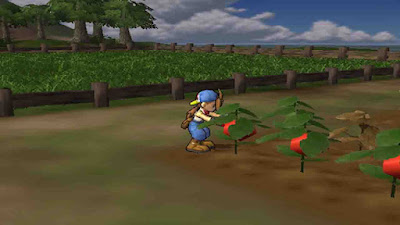 Download Game Harvest Moon: Save The Homeland ISO (PC/PS2)