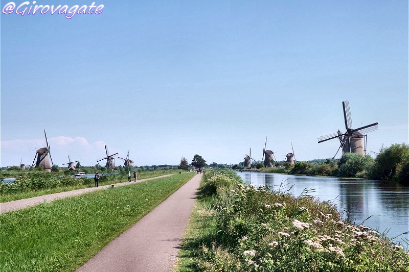 mulini vento kinderdijk olanda