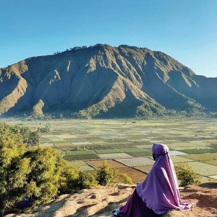 Taman Wisata Pusuk Sembalun Tempat Wisata lombok paling nyaman