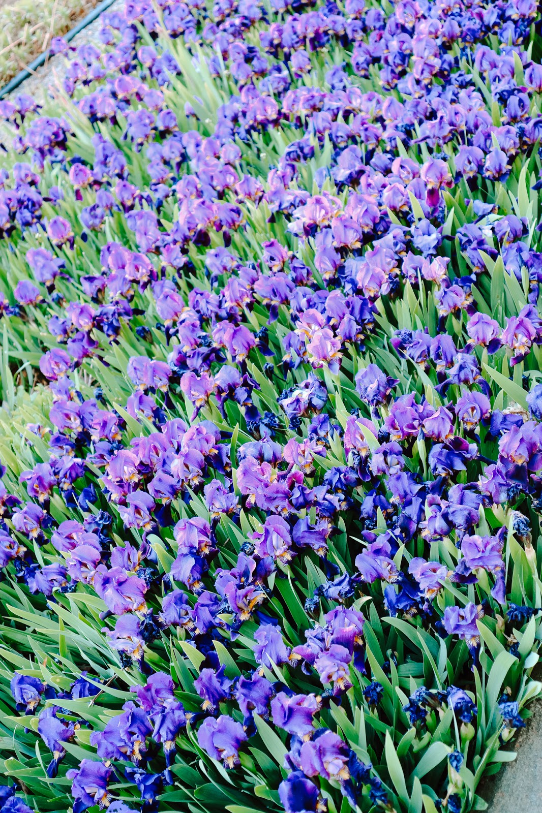 Big mamas home by Jenni S, Oman hyvinvoinnin edelle asettamisesta, henkinen hyvinvointi, masennus, suru, kevät