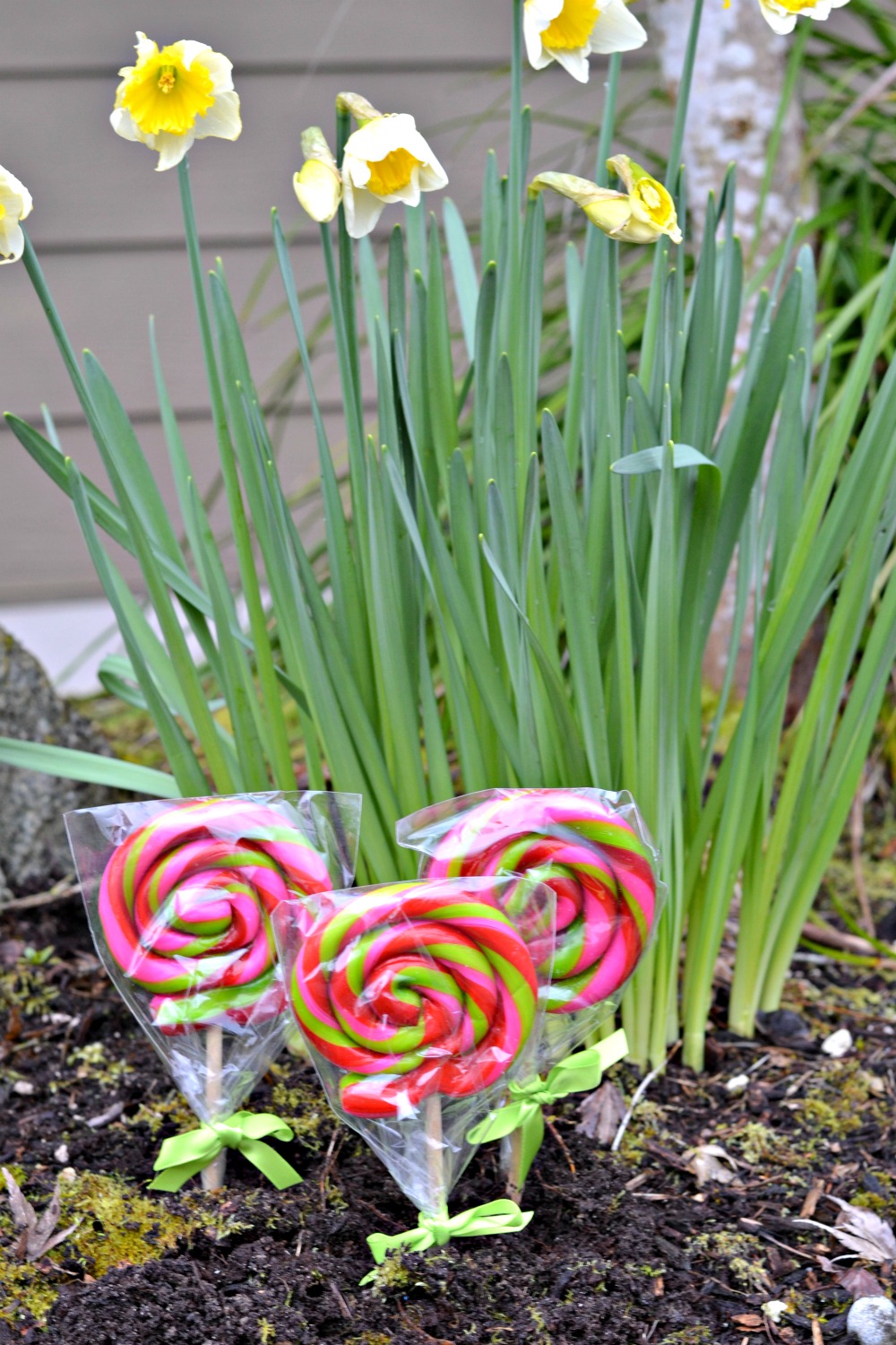 Easter Jelly Bean Surprise