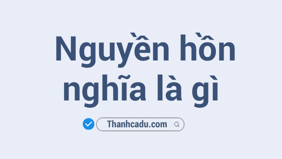 nguyen hon la gi,trien khai lanh ia cua gojo satoru ten gi,trien khai lanh ia cua sukuna la gi,thuat thuc la gi,ten han viet cua cac nhan vat trong jujutsu kaisen,chu linh la gi,chu thuat la gi,nguyen su la gi,