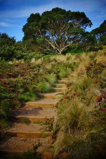 The Nut, Stanley The Nut, Stanley. Tasmania, Australia