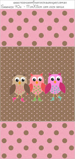 Owls with Boots: Free Printable Quinceanera Candy Bar Labels.