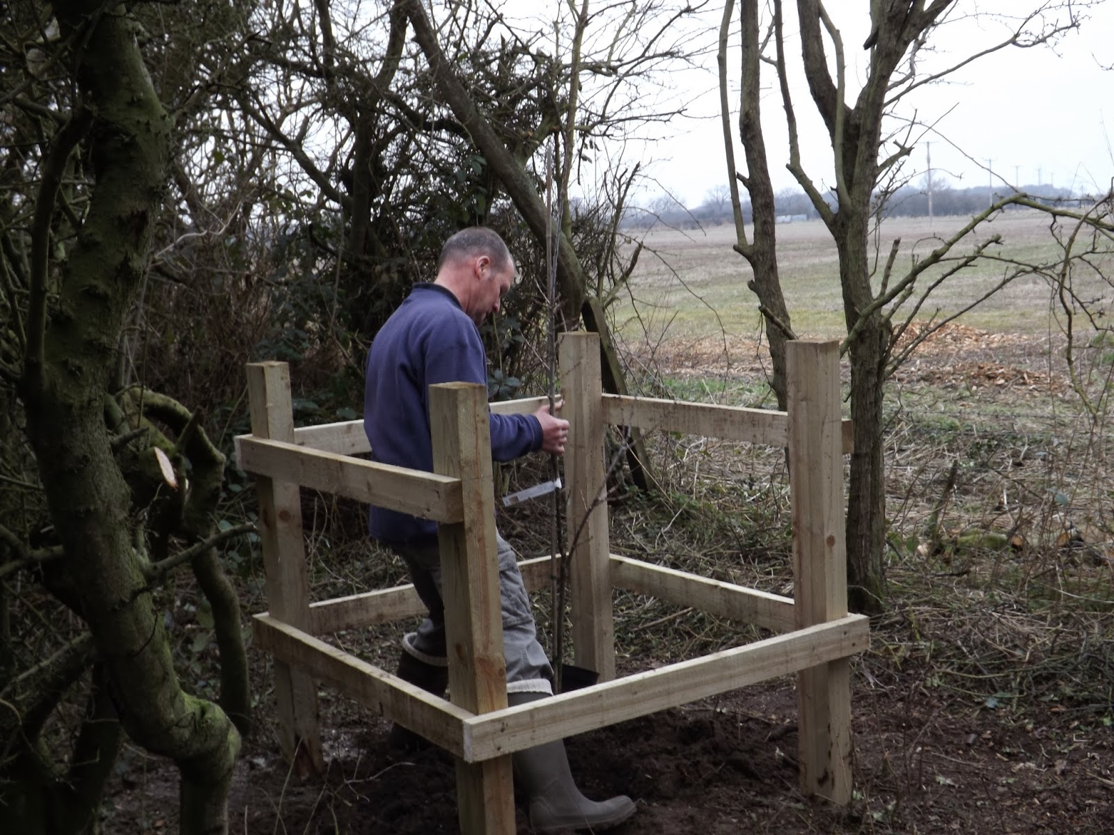 Bielby Village News Photos of the Jubilee Tree Planting
