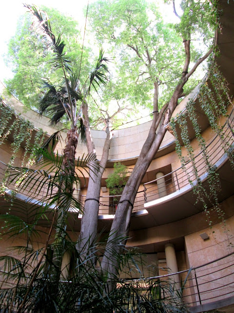 Un día de primavera en el Jardín Botánico de Valencia, abril 2014 - Paseos Fotográficos Valencia