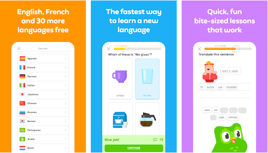 Duolingo App Download for PC Windows (7/8/10) Free Offline - Apk for PC ...