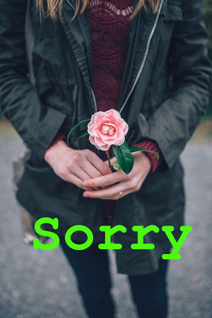 I Am Sorry