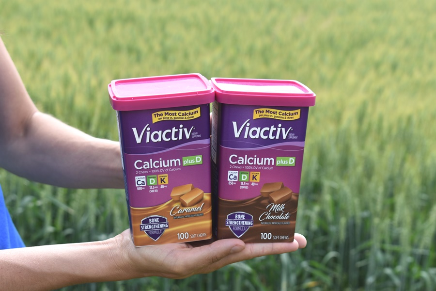 How to Get Calcium in your Diet During Pregnancy The Nutritionist Reviews