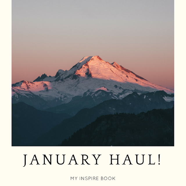 January Haul!