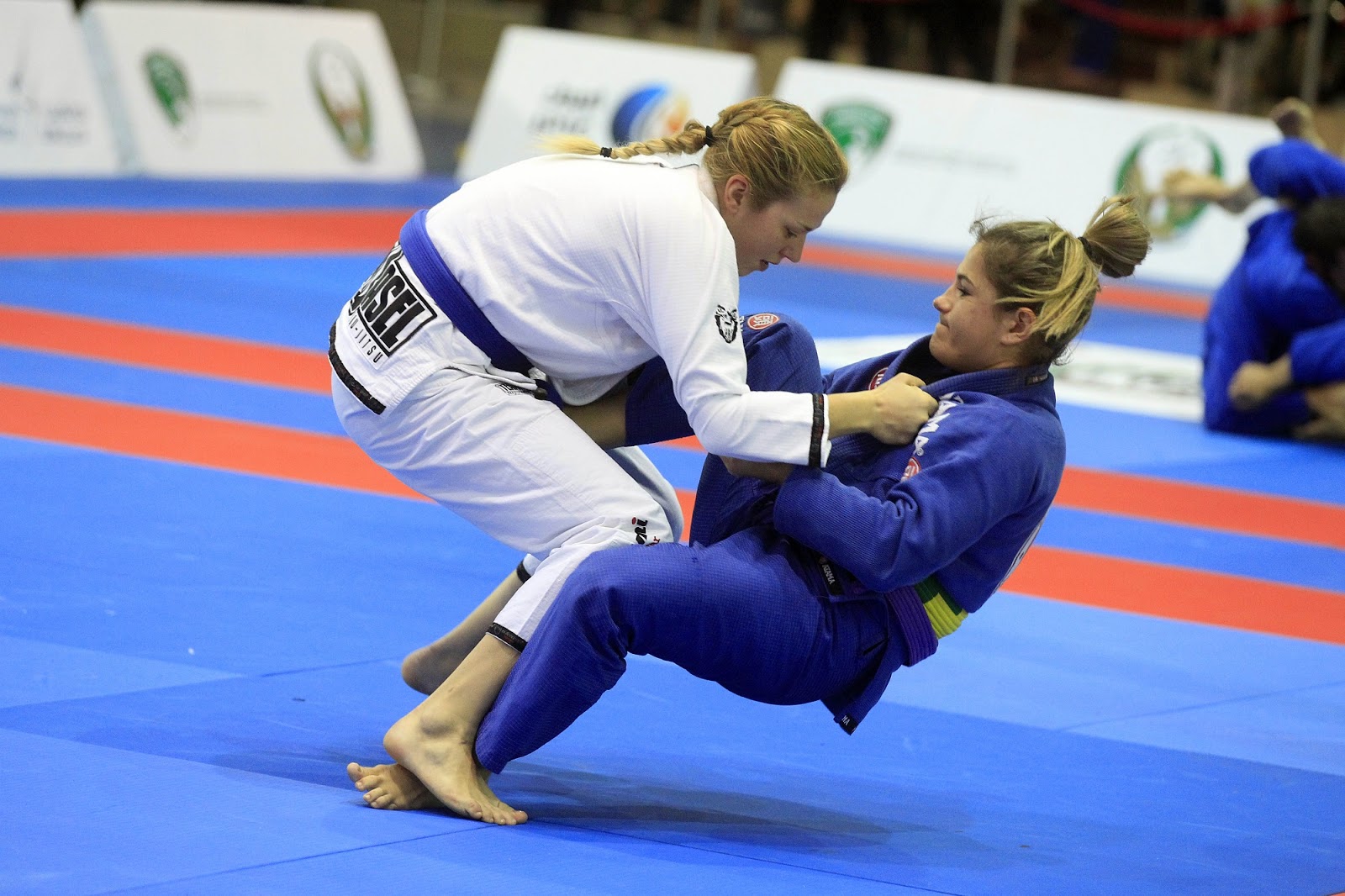 The Hearts of Grapplers An Abridged Beginner's Guide to BJJ for Women