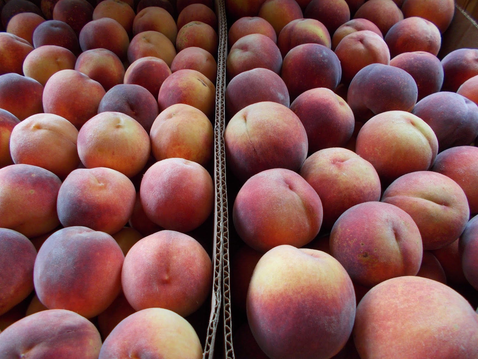Brenda's Berries & Orchards Late Peaches, Early Apples & Pears Ripe Now