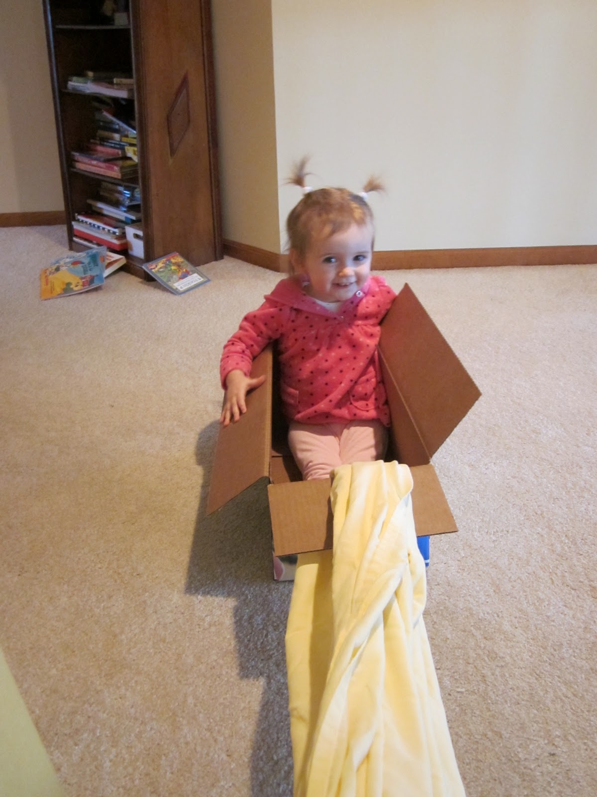 The Bean Sprout Notes 12 Ways to Reuse Diaper Boxes