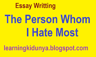 essay on the person i hate most