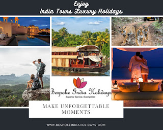 India Tours Luxury