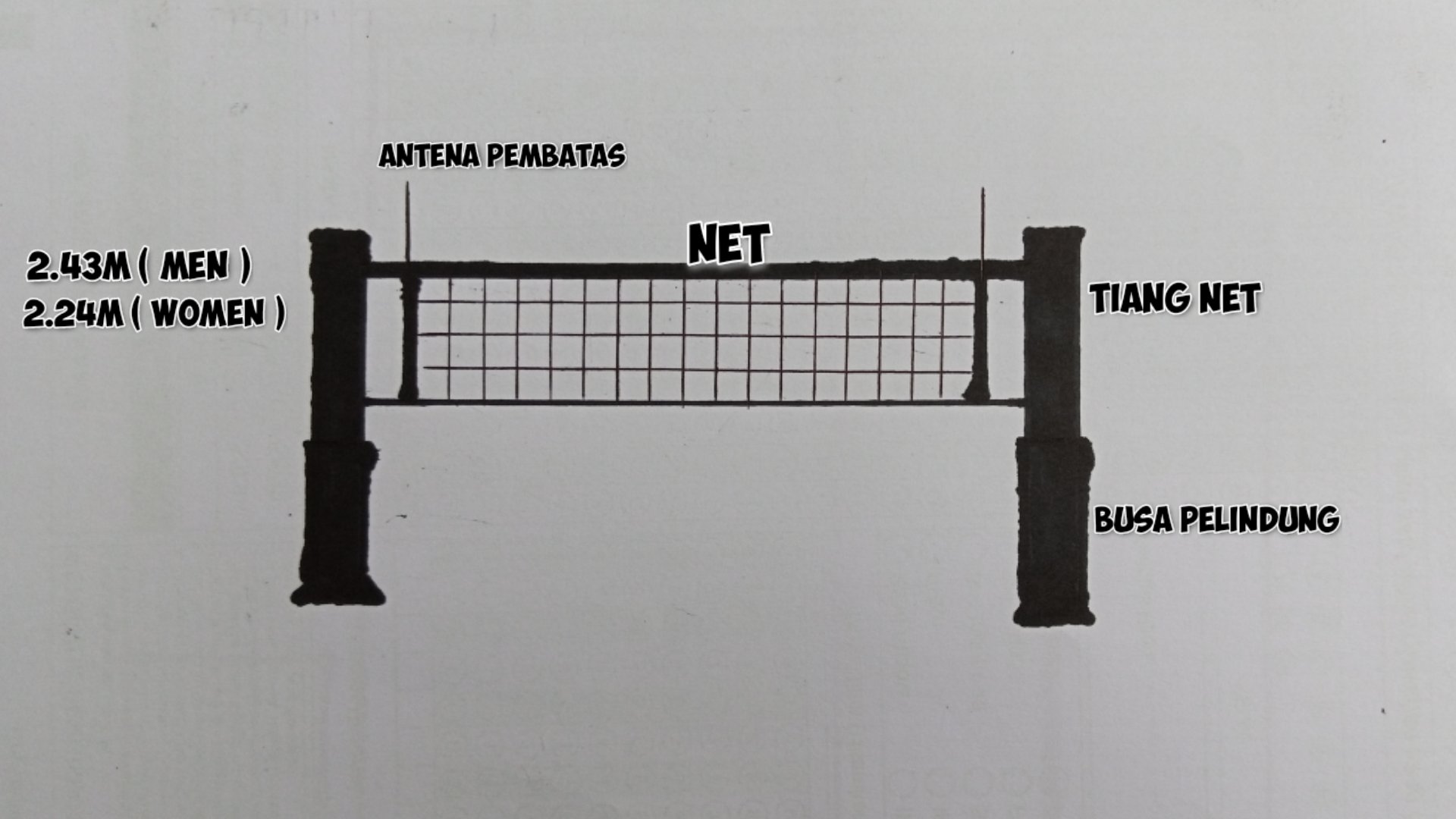 UKURAN LAPANGAN BOLA VOLI DAN TINGGI NET BOLA VOLI PUTRA DAN PUTRI