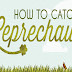How To Catch A Leprechaun #infographic