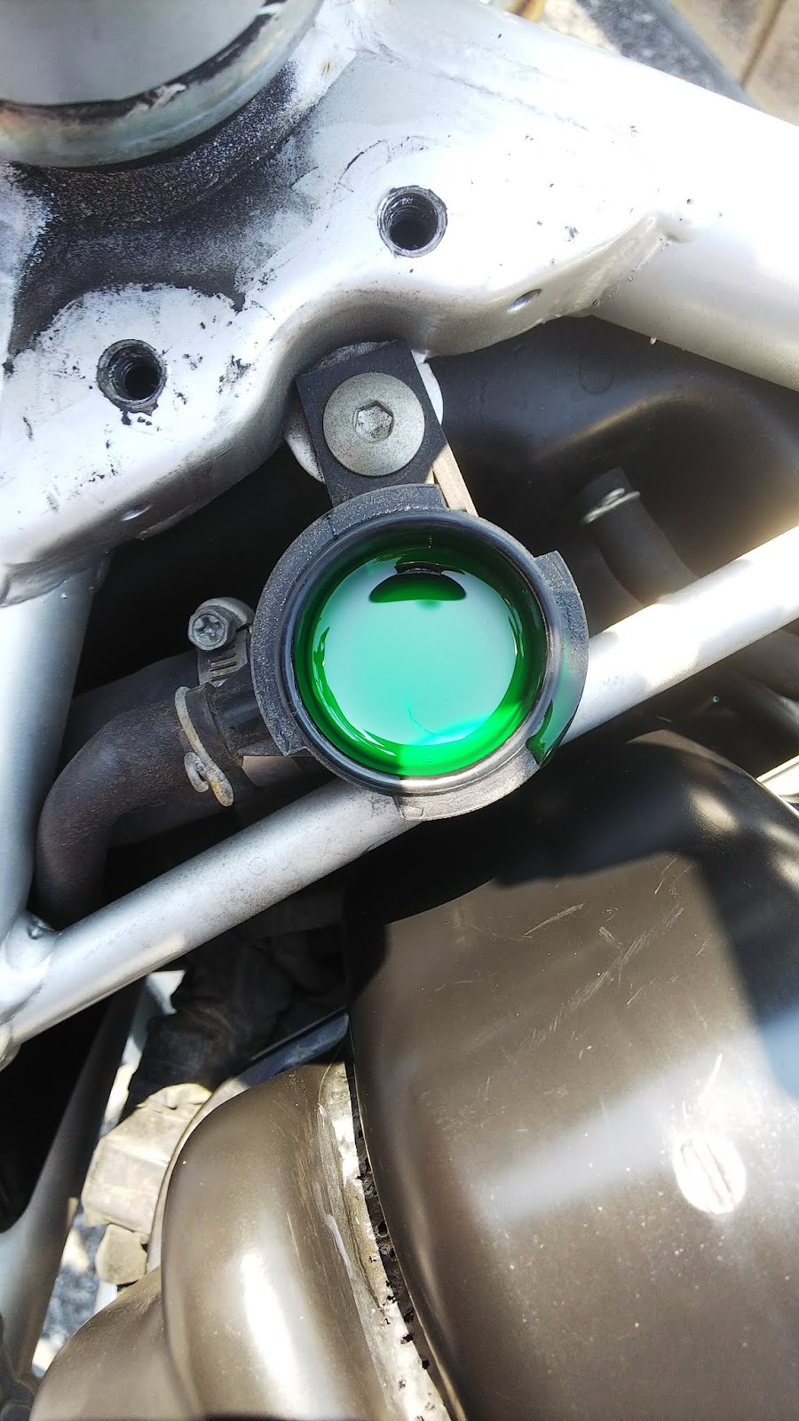 Vtr250 クーラント交換編 社会人n年目の趣味記録
