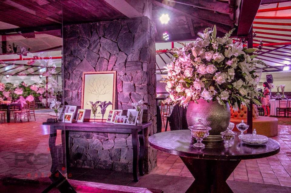 blog-de-casamento-princesa-vestido-vera-wang-festa-decoração princesa-vestido-vera-wang-festa-decoracao