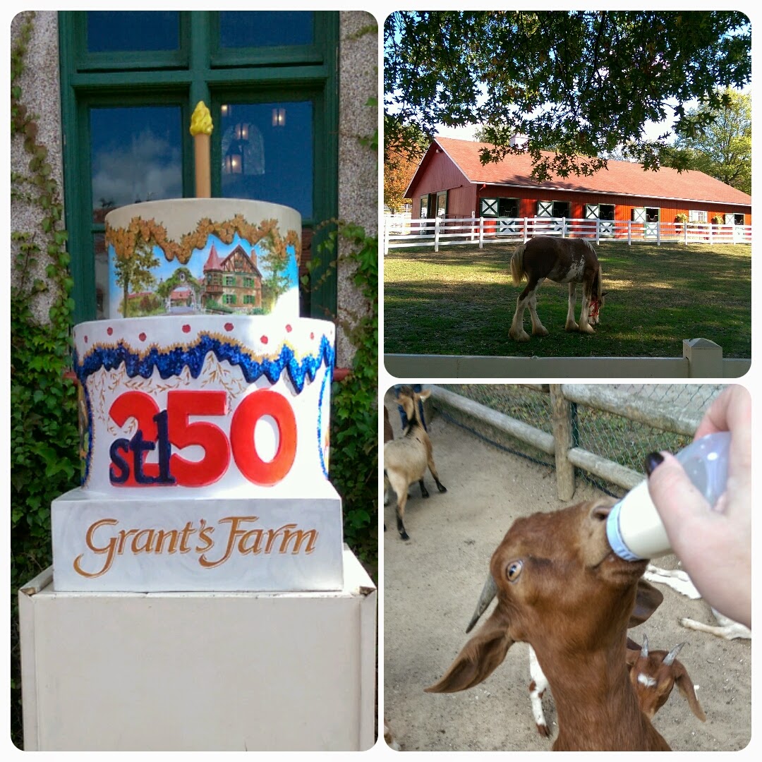 Craves, Caves, & Graves STL250 Cakeway to the West, Part 16
