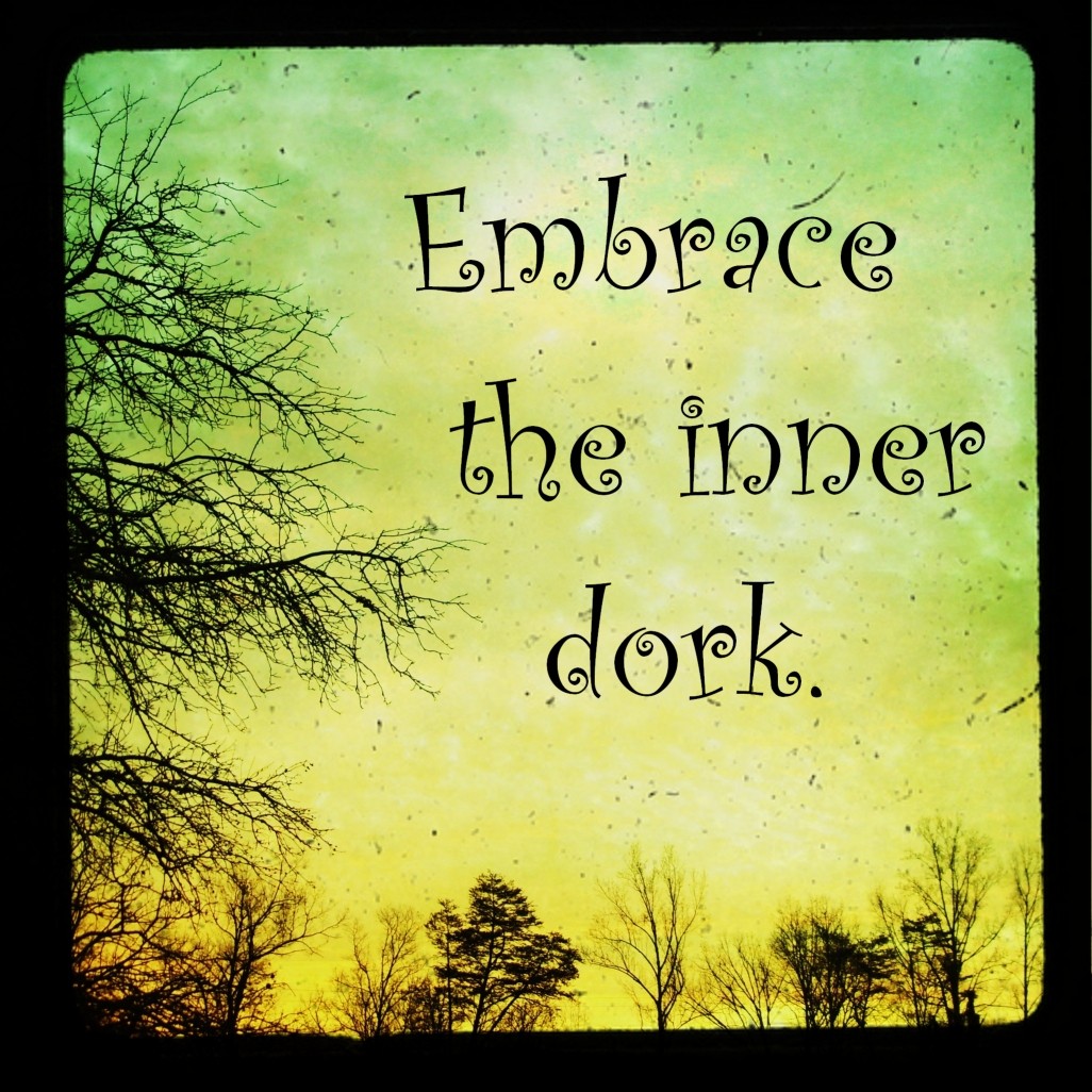 Guidebook for the Dysfunctional: Embrace the inner dork