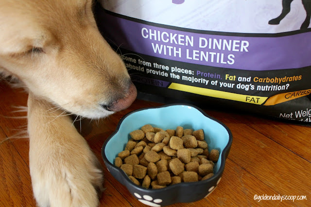 Caloric Melody Chicken Dinner with Lentils Dog Food Review