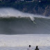 Espinas Grandes | Puerto Escondido