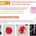 النسخة الاولى من كتاب "Planète SVT 1de" للاستاد "Pour l'enseignant" في مادة علوم الحياة والارض نسخة 2019 النسخة الاولى من كتاب "Planète SVT 1de" للاستاد "Pour l'enseignant" في مادة علوم الحياة والارض نسخة 2019