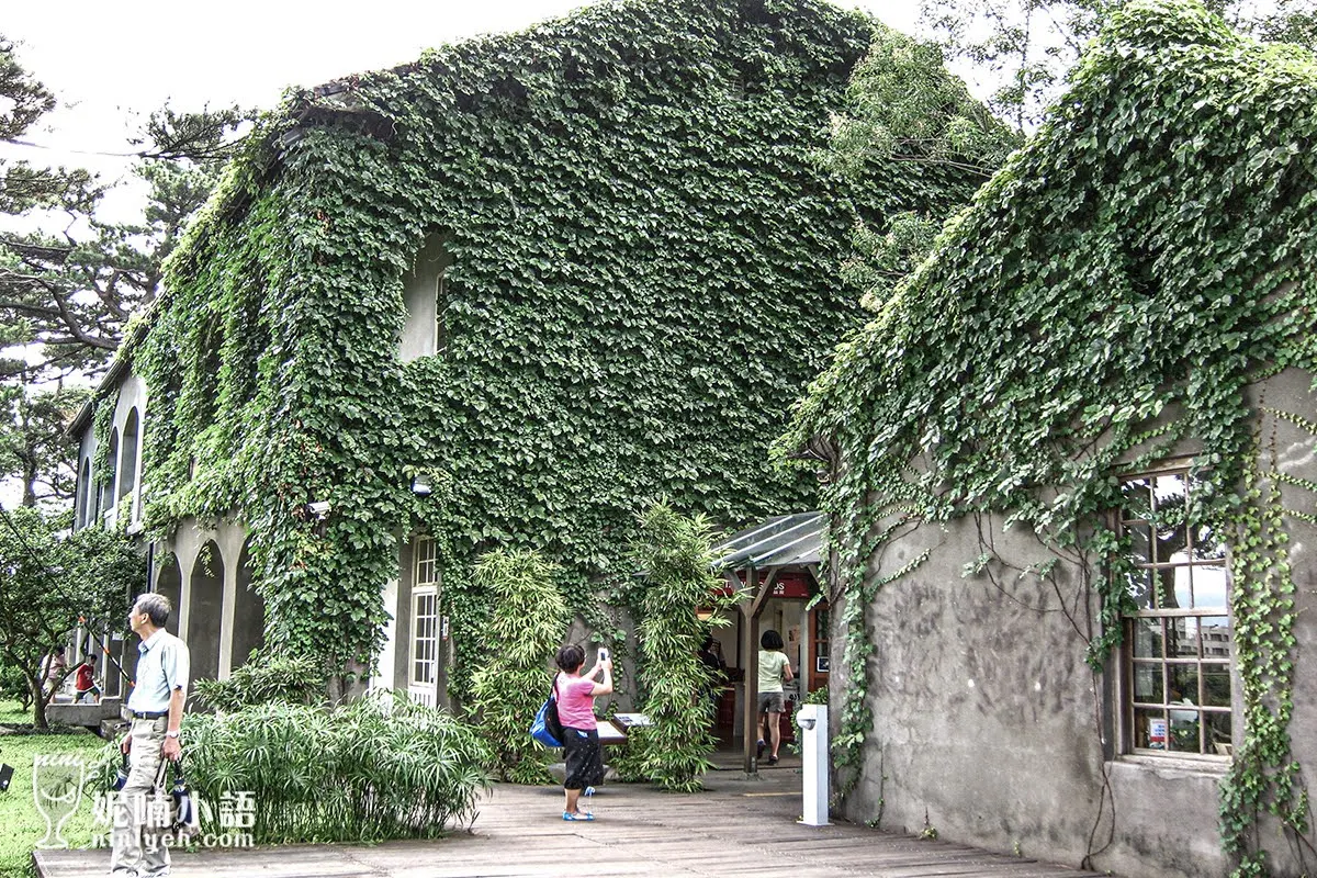 【花蓮市景點】松園別館。穿梭在百年松林的藝術人文之旅