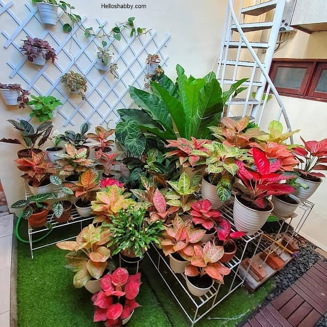 Desain Taman Rumah Minimalis dengan Lahan 1 x 1 M ~ HelloShabby.com