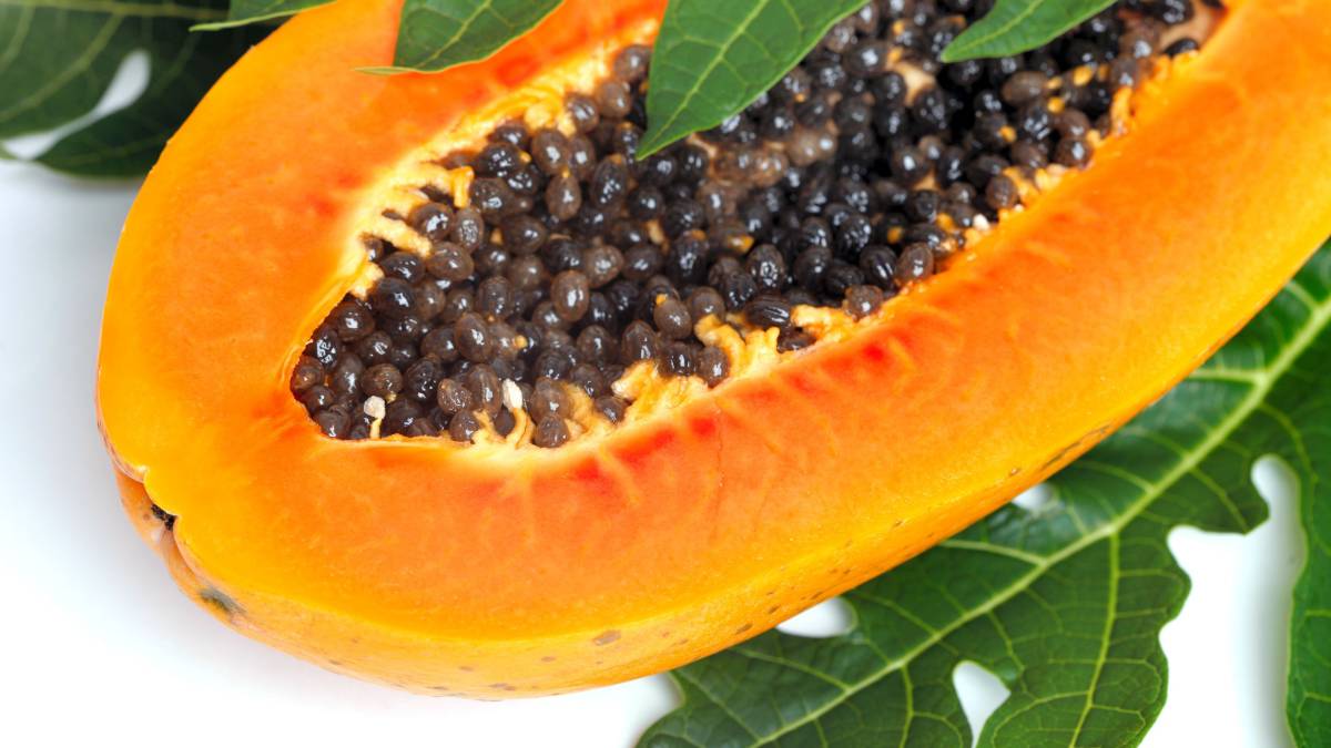 10 Beneficios de la papaya y sus propiedades en ayunas NUTRICIÓN Y MAS