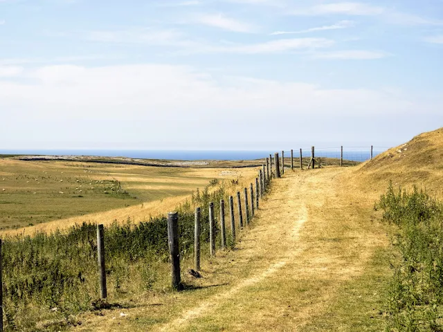 Things to do in Llandudno: Hike in Great Orme Country Park