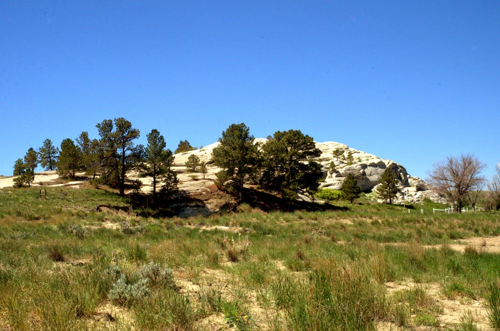 QuiltinCats Rock In The Glen (Glenrock, WY)