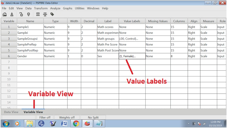 using pspp using pspp