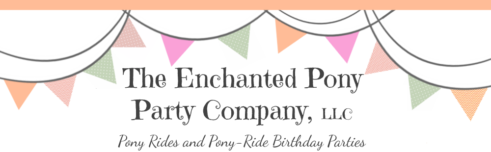 The Enchanted Pony Party Co.