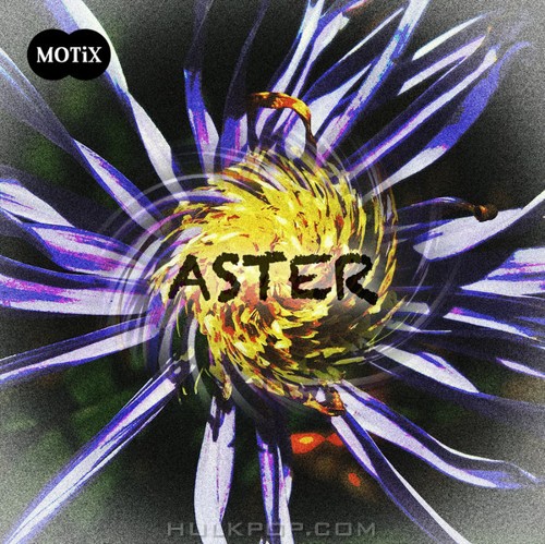 Motix – Aster – Single