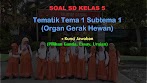 Contoh Soal Hots Organ Gerak Hewan Dan Manusia