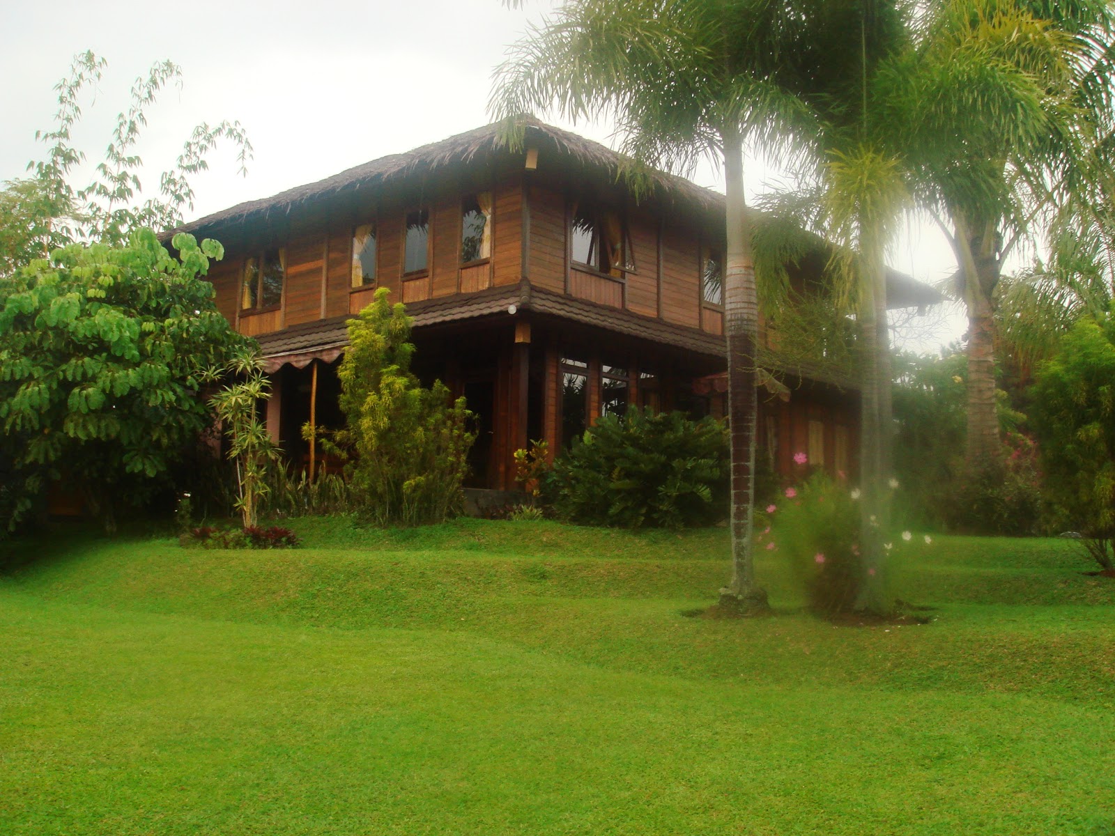  villa  kayu  alam Villa  Kayu  Alam