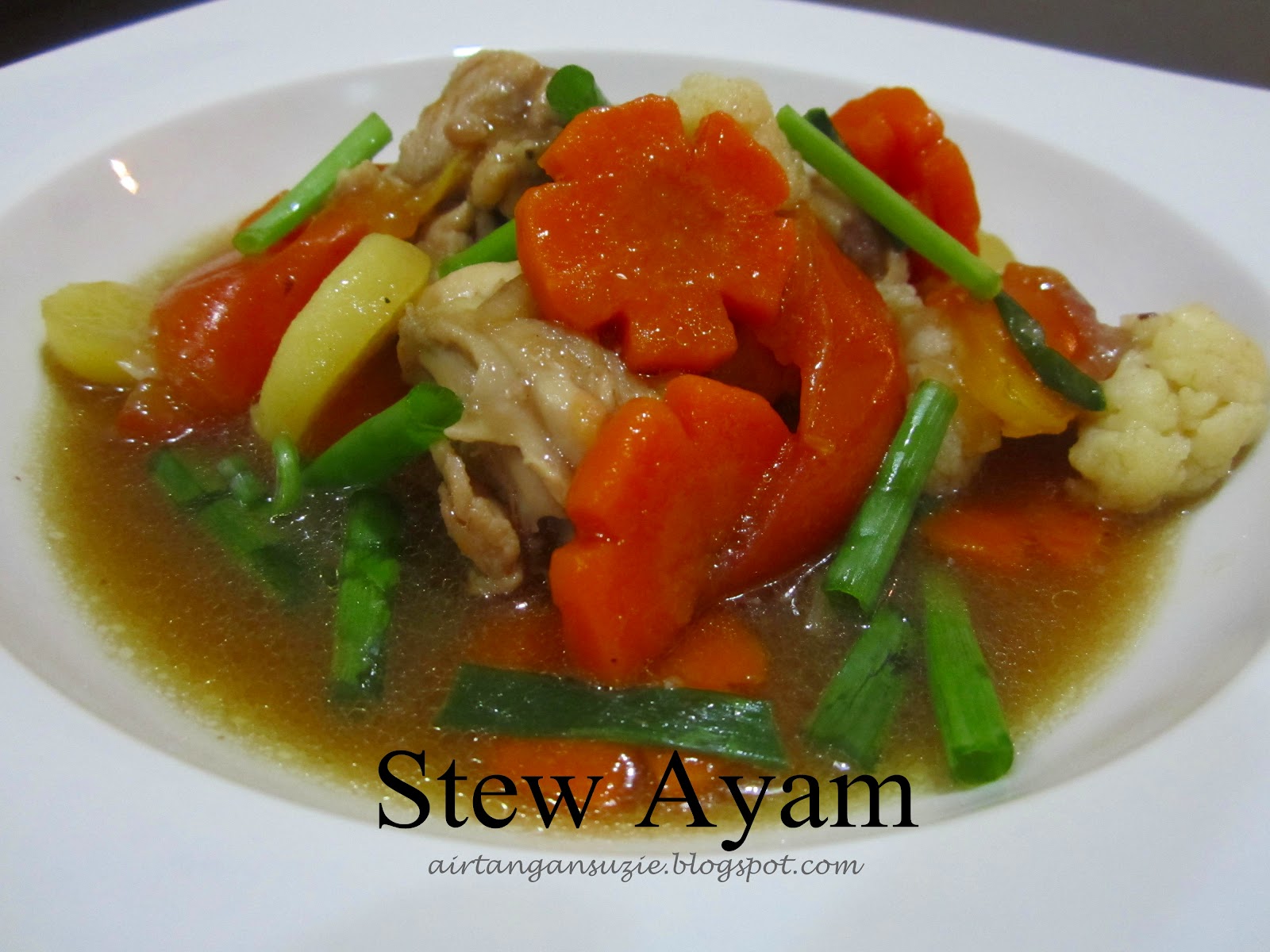 Stew Ayam