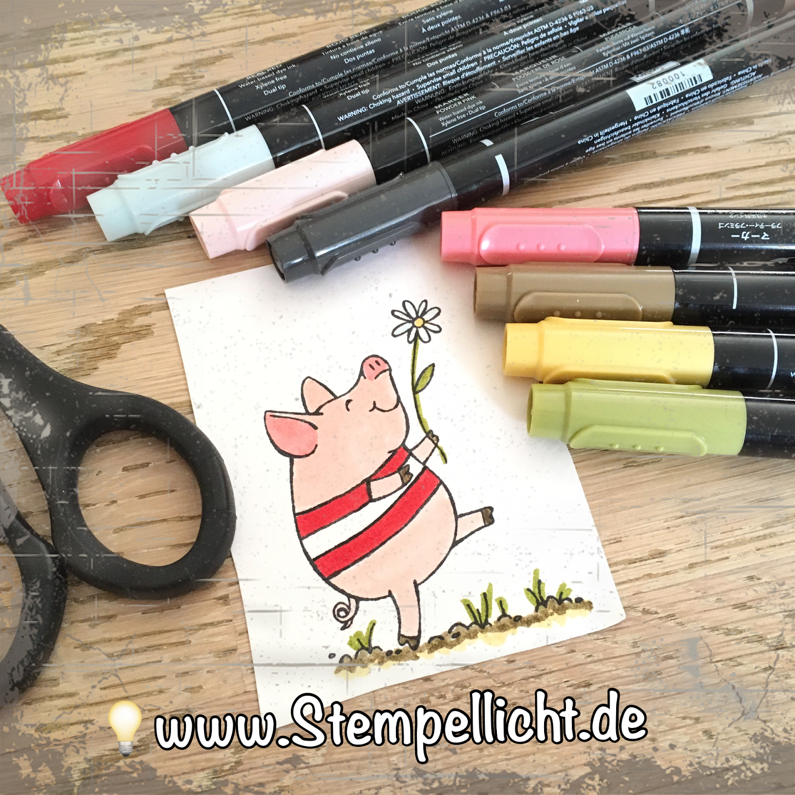 Stempellicht Glucksschweinchen Mit T Shirt