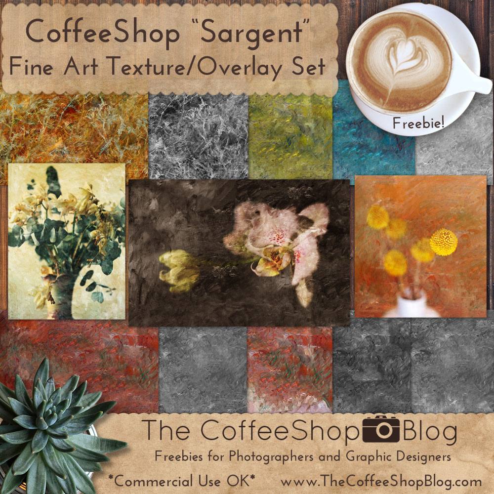 The Blog "Sargent" Fine Art Texture Set!