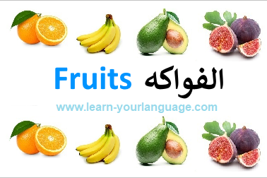 شجرة العائلة بالانجليزية بالصور