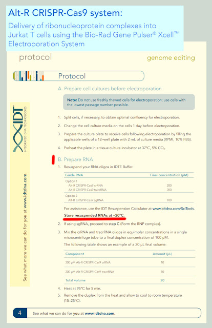 CRISPR protocole