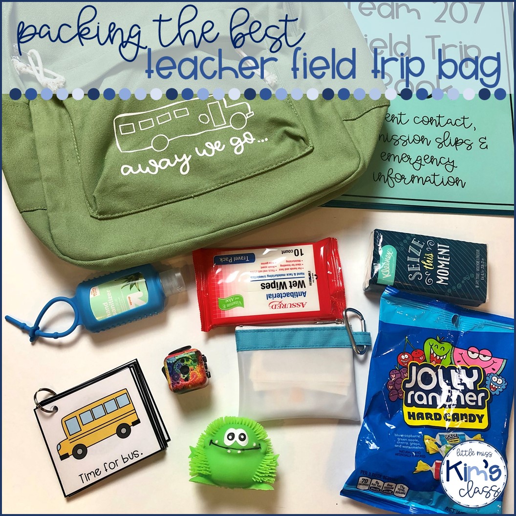 best teacher bag for field trips